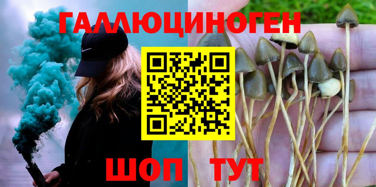 Комсомольск-на-Амуре  Галлюциногенные грибы Magic Shrooms  Вход с VPN  Псилоцибиновые грибы Cubensis 