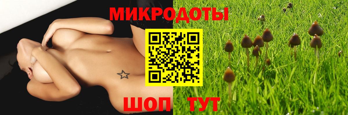 Галлюциногенные грибы GOLDEN TEACHER Комсомольск-на-Амуре